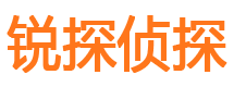 汝南调查公司